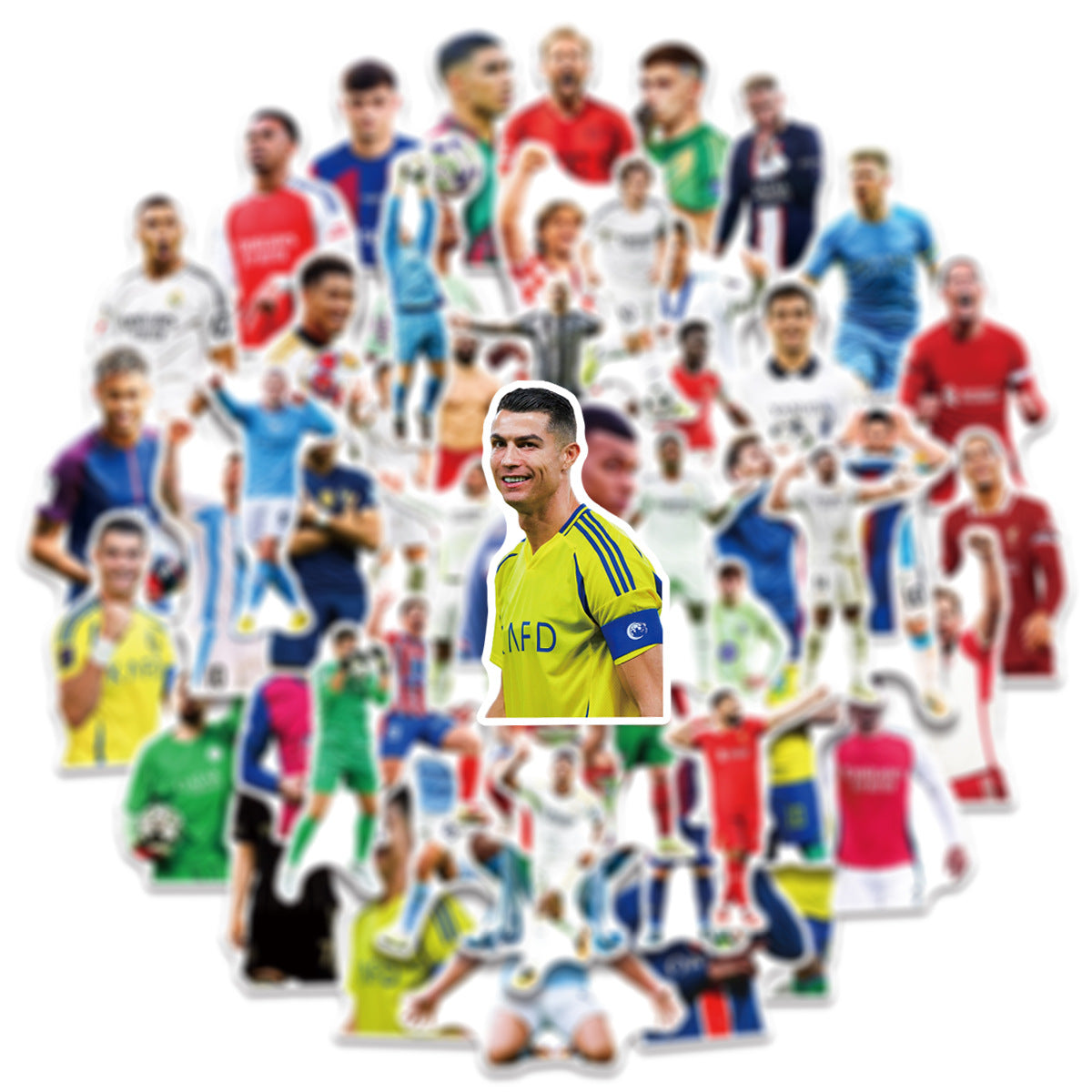 648e0076-104f-48ab-bda5-1bdad099177d